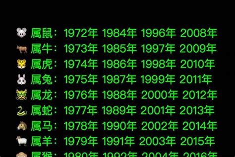 2000年的生肖|2000年是什么年天干地支 2000年是什么年什么命